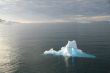 Icebergs in late evening alpenglow