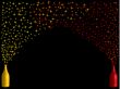 Two bottles with stars