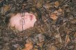 Boy in Leaves