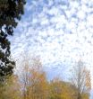 Autumn sky