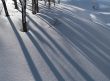 winter snow background