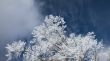 winter sky background