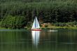 sailboat
