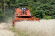 red combine harvester