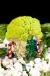 Cauliflower at Christmas