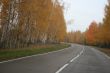 Autumn highway with yellow tress on both sides