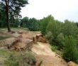 August Landscape with stones and pine forest