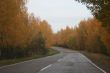 Autumn highway with yellow tress on both sides