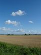 Harwest field under blue cloudy sky