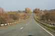 Autumn road with yellow tress on both sides