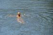 single female swimming in wide water surface