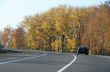 Autumn highway with yellow tress on both sides