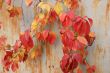 Red autumn vinegard leaves on rusty wall