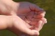 very young and little fish