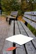 The magazine lays on a bench in autumn park