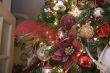 Christmas Tree Feather