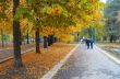 autumn park avenue