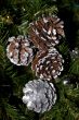 Silver pine cones, - Christmas Decoration