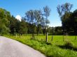 late summer