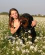 girl and rottweiler