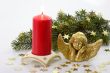 Angel with Fir Branch