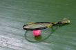 racket & pink ball
