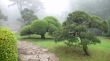 japanese park in summer