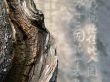 zen abstract image