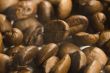 Coffee Background