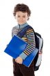 Adorable child studying