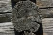 Old wooden wall