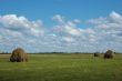 Three hayricks on the meadow