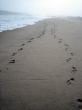 footprints on the beach