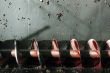 Wine production screw auger