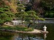japanese pond