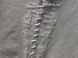 close-up white stitch