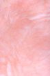 pink plaster