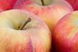 Close-up on fresh red apples