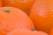 Ripe fresh tangerines