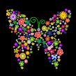 spring flower butterfly