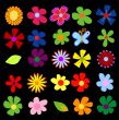 spring flowers