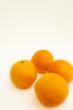 oranges on a white background