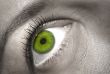 close-up of a female eye