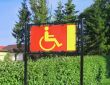 reserved only for disabled