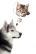 dog imagining a cat