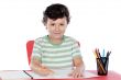 Adorable boy studying