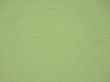 Green background the Invoice