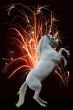 Horse fireworks