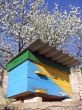 Ukrainian beehive