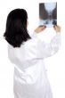 doctor examining a radiographs